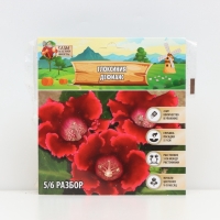 Глоксиния &laquo;Дефианс&raquo; многолетник, комнатный, луковица в пакете с перфорацией, р-р 5/6, 2 шт.