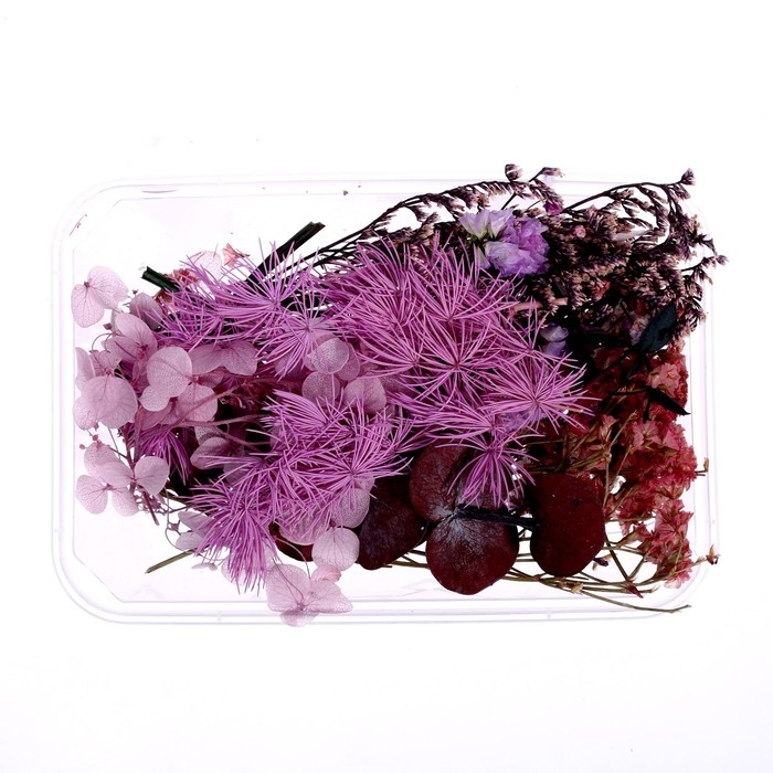 Набор для творчества «Набор сухоцветов», малый, фиолетовый Набор для творчества «Набор сухоцветов», малый, фиолетовый
