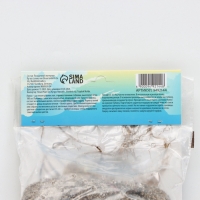 Лилия Восточная Brasilia, луковица в пакете с перфорацией, р-р 12/14, 3 шт.