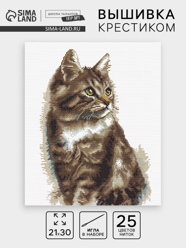 Вышивка крестиком 21х30 см "Домашний кот"
