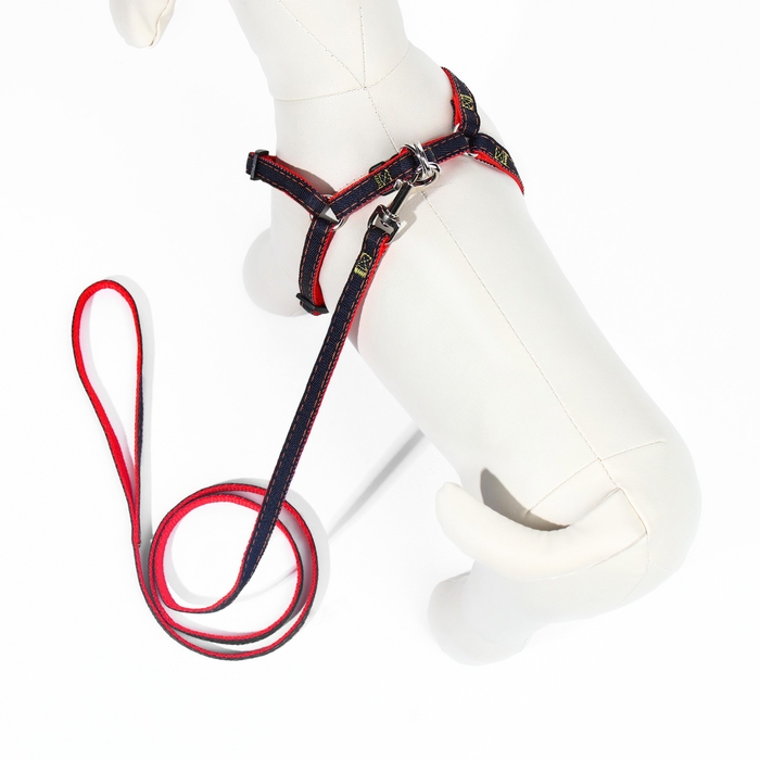 Комплект "Джинс", ширина 1 см, поводок 120 см, шлейка 25-40 см, красный