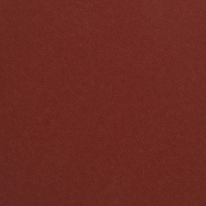 Круг абразивный шлифовальный под "липучку" ТУНДРА, 125 мм, Р1500, 10 шт.