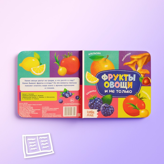 Книги картонные набор «Знакомимся с окружающим миром», 4 шт. по 10 стр. Книги картонные набор «Знакомимся с окружающим миром», 4 шт. по 10 стр.