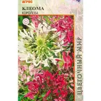 Семена Клеома колючая "Королева" 0,2 г