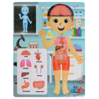 Пазлы светящиеся &laquo;Рентген-кабинет&raquo;, 88 деталей