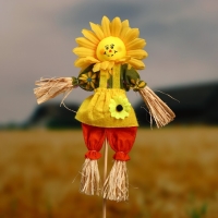 Огородное пугало &laquo;Солнце&raquo;, h = 50 см, МИКС, Greengo