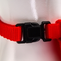 Комплект амуниции "Ангел", размер XS, шлейка 19-26 см, поводок 120 х 1 см, красный