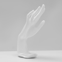 Подставка для украшений &laquo;Рука&raquo; 9&times;12&times;22, цвет белый