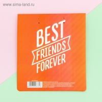 Брелоки парные &laquo;Еноты&raquo; набор, 2 шт., 11 х 17,5 см.