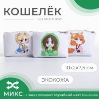 Кошелёк на молнии, цвет МИКС Кошелёк на молнии, цвет МИКС