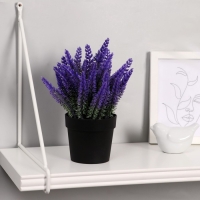 Бонсай в горшке "Лаванда" 9х18 см, микс Бонсай в горшке "Лаванда" 9х18 см, микс