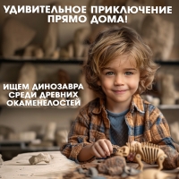 Набор для раскопок &laquo;Раскопай динозавра&raquo;