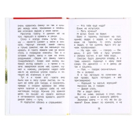 Книга &laquo;Рассказы о природе&raquo;, Пришвин М.М., внеклассное чтение
