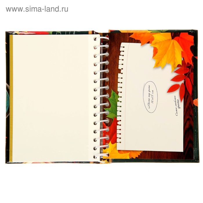 Фотоальбом &laquo;Школьные годы&raquo; 10 магнитных листов