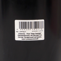 Саженец Розы "Мид Саммер", Горшок С4, Лето 2024 Саженец Розы "Мид Саммер", Горшок С4, Лето 2024