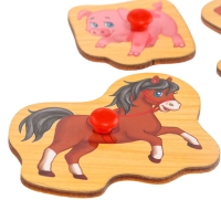 Рамка - вкладыш &laquo;Учим домашних животных&raquo;, 5 элементов