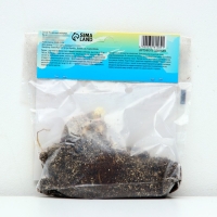 Лилия Многоцветная "Пиетон", р-р 12/14, 3 шт,