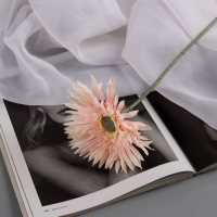 Цветы искусственные "Хризантема люкс" d-11 см, 40 см, бело-розовый Цветы искусственные "Хризантема люкс" d-11 см, 40 см, бело-розовый