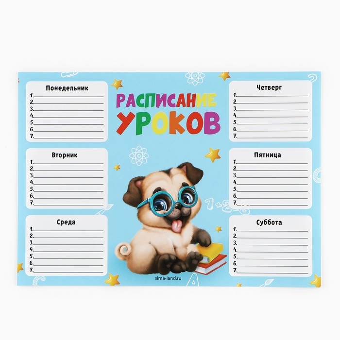 Подарочный набор на выпускной в папке 7 предметов &laquo;Выпускник детского сада&raquo;