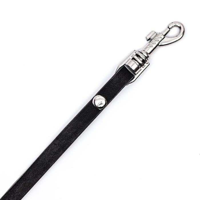 Поводок кожаный однослойный, 1.47 м х 0,8 см, черный Поводок кожаный однослойный, 1.47 м х 0,8 см, черный