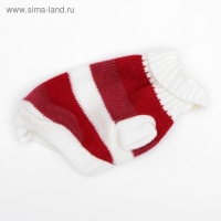 Свитер, размер 6 (24-28 см), микс расцветок Свитер, размер 6 (24-28 см), микс расцветок