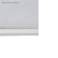 Карман-держатель для информации, клеящаяся основа, формат А4 вертикальный, 21&times;0,2&times;30 см