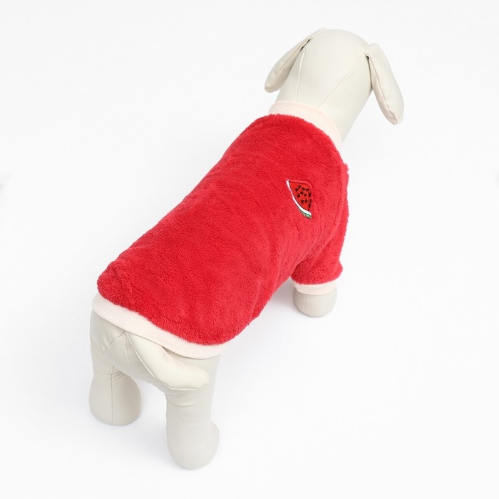 Свитер Свитер "Арбуз", велюр, размер XS (ДС 20, ОШ 21, ОГ 30 см), красный