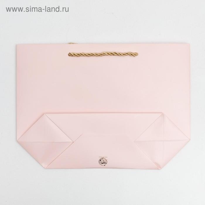 Пакет подарочный, упаковка, &laquo;Best wishes&raquo;, 19 х 20 х 9 см