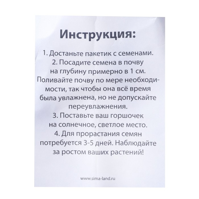 Набор для опытов &laquo;Выращиваем травку&raquo;, зайка