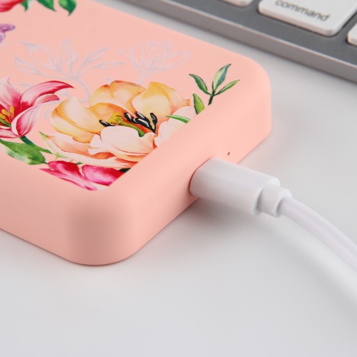 Зарядное устройство &laquo;Цветы&raquo;, 5000мА