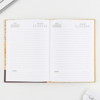 Ежедневник в подарочной коробке &laquo;Золотому учителю&raquo;, формат А5, 80 листов, твердая обложка