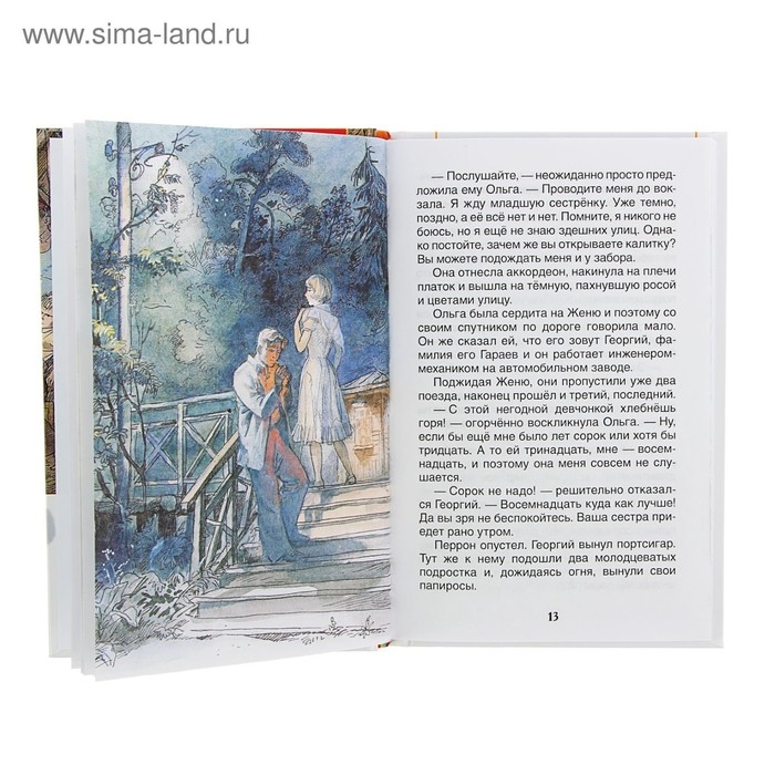 &laquo;Тимур и его команда&raquo;, Гайдар А. П.