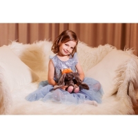 Мягкая игрушка &laquo;Li лисичка&raquo;, заяц, 25 см