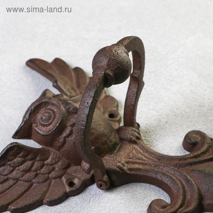 Дверной молоток чугун "Летящая сова" 23,5х18х5 см