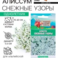 Семена цветов Алиссум "Снежные узоры", 5 шт.