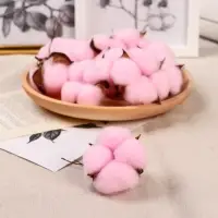 Декор сухоцвет &laquo;Хлопок&raquo;, d=5 см, 5 см, розовый