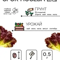 Семена Салат кочанный "Всесезонка", 0,5 г