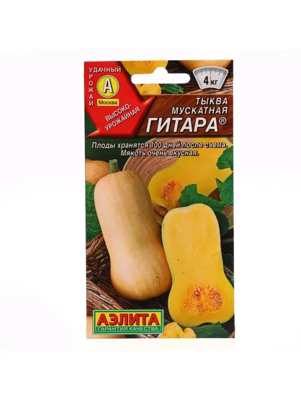 Набор семян Тыква мускатная "Гитара",  5 шт.