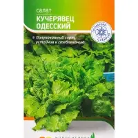 Семена Салат "Кучерявец одесский" 0,3 г