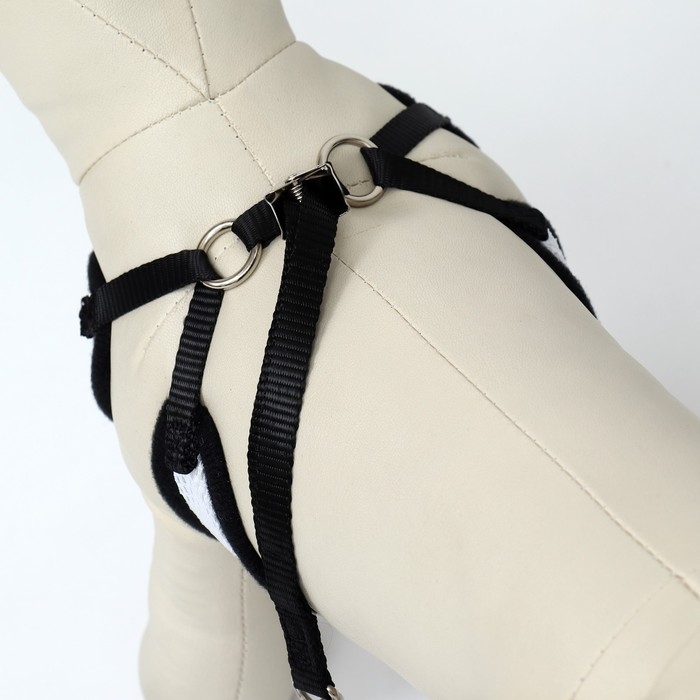 Комплект с мягкой шлейкой и бантиком , размер S, поводок 120 x 1,5 см, ОГ 23-42 см, серый