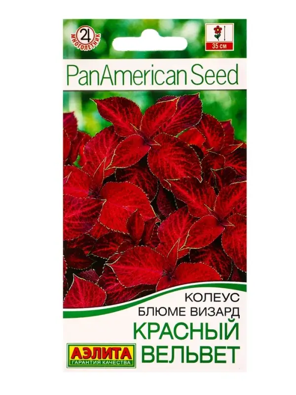 Семена цветов Колеус блюме Красный вельвет Мн Спецсерия PanAmerican, Ц/П,5 шт.