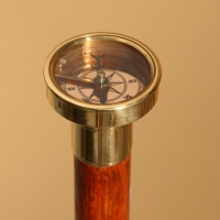 Трость 90 см. манговое дерево, латунь