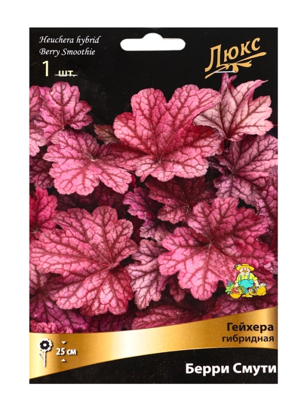 Гейхера (Хеухера) гибридная Берри Смути, корневище в пакете с торфогрунтом, р-р I, 1 шт.