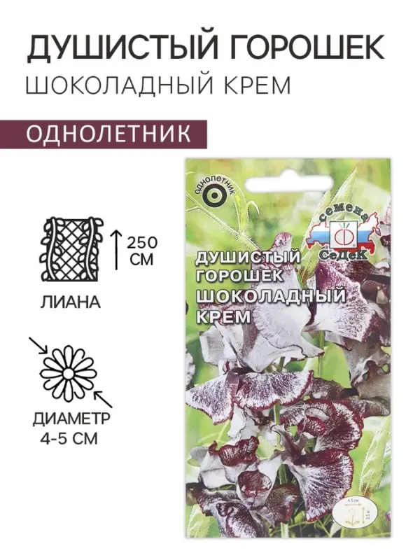 Семена цветов Душистый горошек "Шоколадный крем", 0,5 г