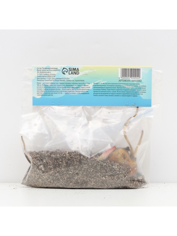 Лилия О.Т. Гибрид Friso, луковица в пакете с перфорацией, р-р 12/14, 2 шт.