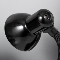 Лампа настольная Е27, светорегулятор, на зажиме (220 В) черная (108 А) RISALUX