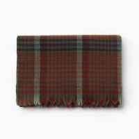 Шарф зимний с кистями MINAKU 65*180 + 8 см клетка