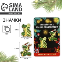 Значки новогодние «Новый год: две змейки», набор, 2 шт Значки новогодние «Новый год: две змейки», набор, 2 шт