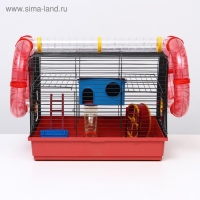 Клетка для грызунов "Хома 4", 55 x 37 x 42 см, микс цветов Клетка для грызунов "Хома 4", 55 x 37 x 42 см, микс цветов