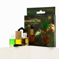 Ароматизаторы для машины новогодние &laquo;Запах волшебства и сказки&raquo;, ваниль, дыня, яблоко, 3 шт